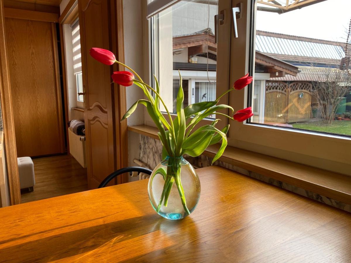 Appartement 3 Lys แซ็ง-ลุยส์ ภายนอก รูปภาพ